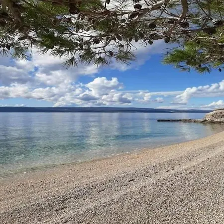 Apartament Papilio *